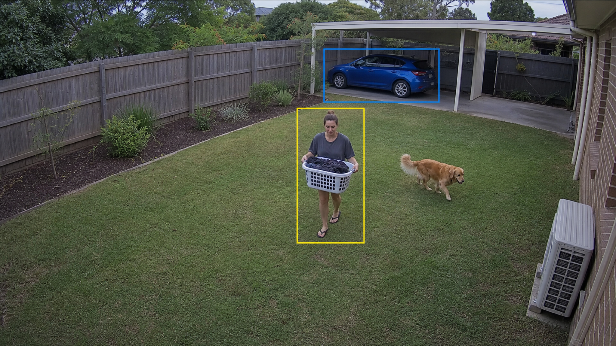 WizSense AI — example