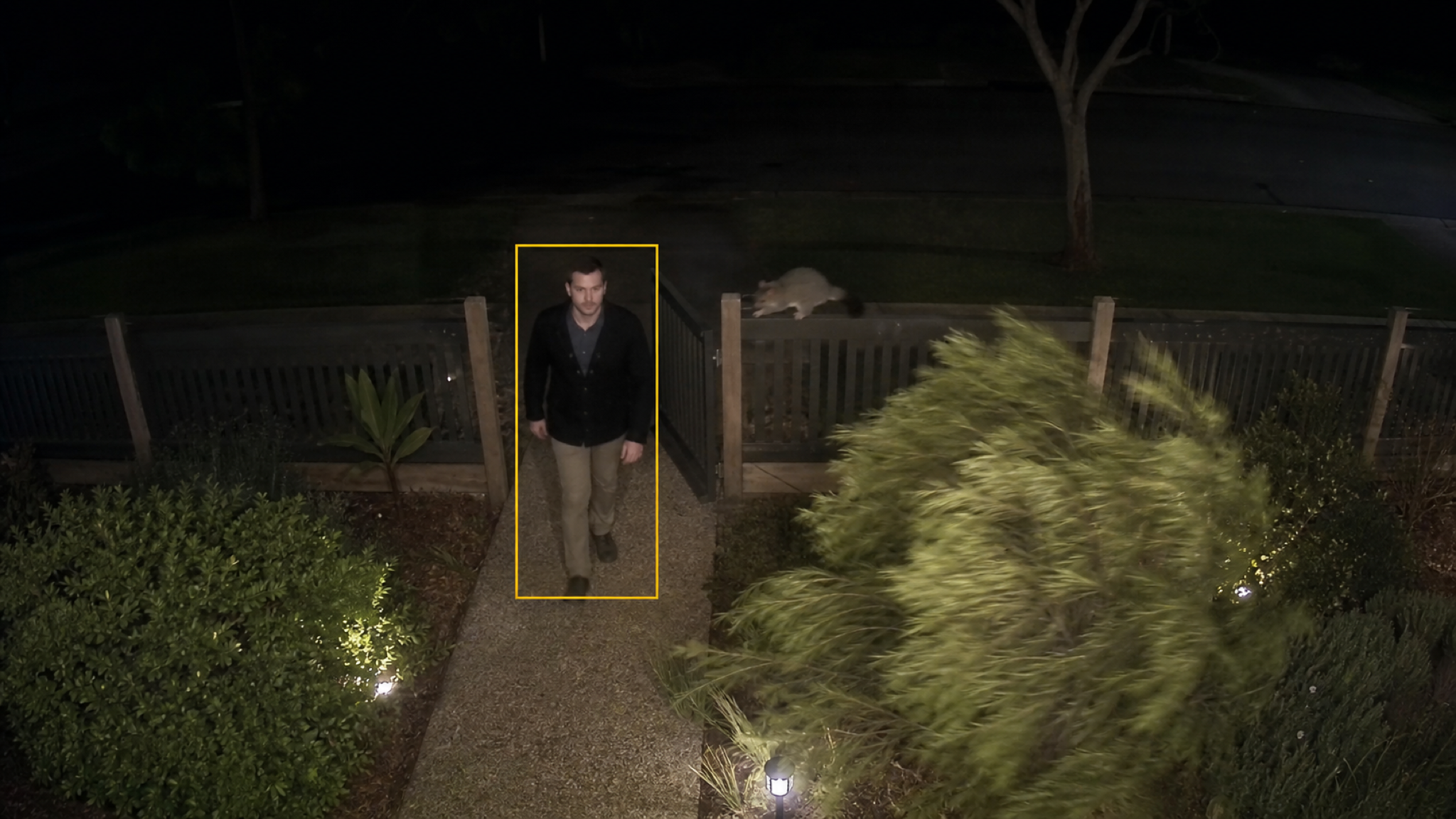 Smart Detection — example