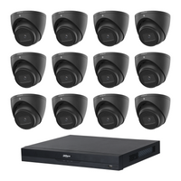 Dahua HDW2541EMP 12-Camera 5MP Turret CCTV Kit + 16CH PoE NVR, No HDD — 12 black cameras; LSC supplier camera images composed with the included recorder
