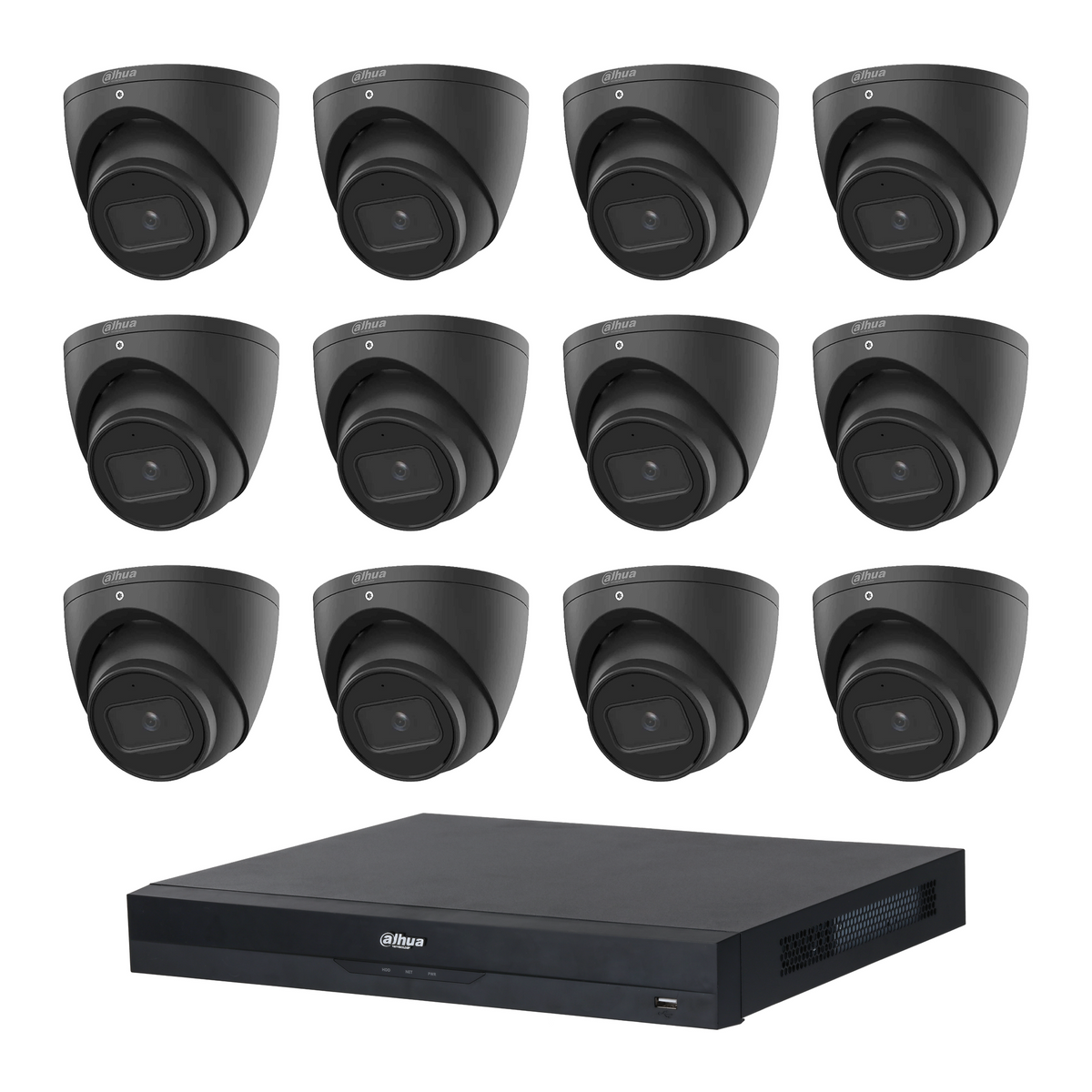 Dahua HDW2541EMP 12-Camera 5MP Turret CCTV Kit + 16CH PoE NVR, No HDD — 12 black cameras; LSC supplier camera images composed with the included recorder