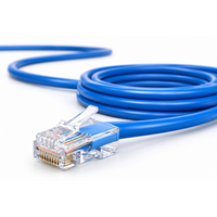 10m Ethernet Cable Pre-terminated