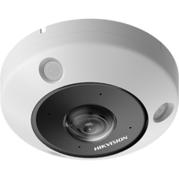 Hikvision DS-2CD6365G1-IVS 6MP Outdoor Fisheye Camera Mic 15m IR Panoramic 1.16mm