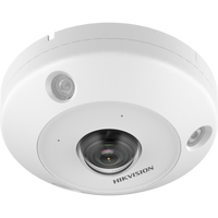 Hikvision DS-2CD6395G1E-IVS 9MP Fisheye Network Camera 360 Panoramic IR Heat Map IK10 IP67