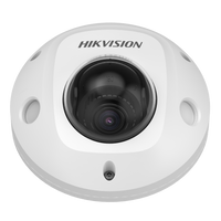 Hikvision DS-2XM6726G1-ID 2MP Mobile Network Dome Camera