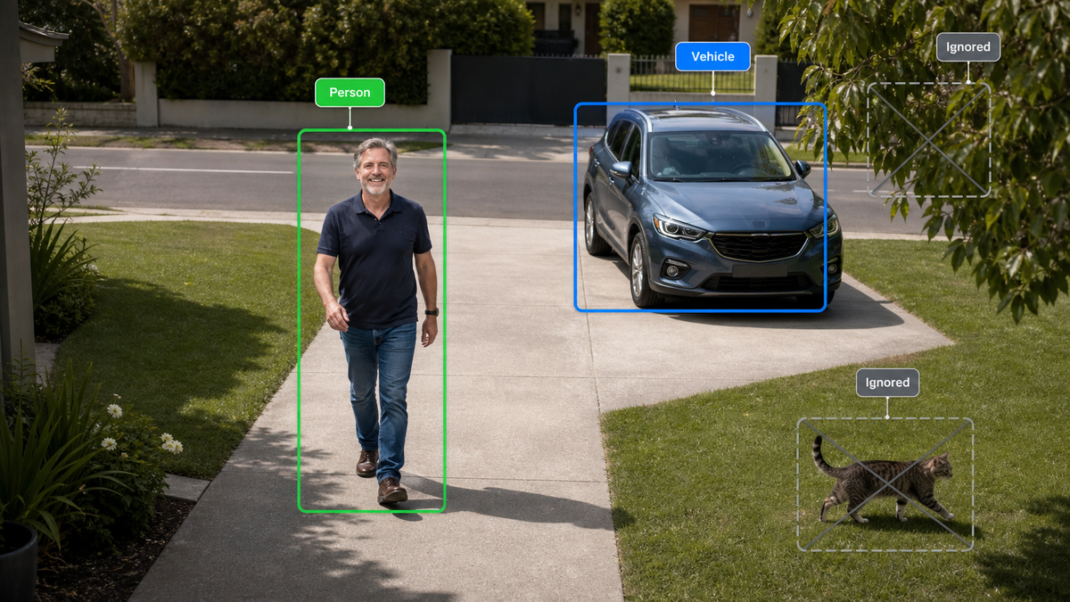 Human/Vehicle Detection — Smart detection focuses on people and vehicles and can ignore things like swaying...
