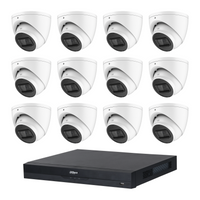 Dahua CCTV kit containing 12 white HDW2541EMP 5MP turret cameras and one NVR4216 16-channel PoE NVR; no hard drive included